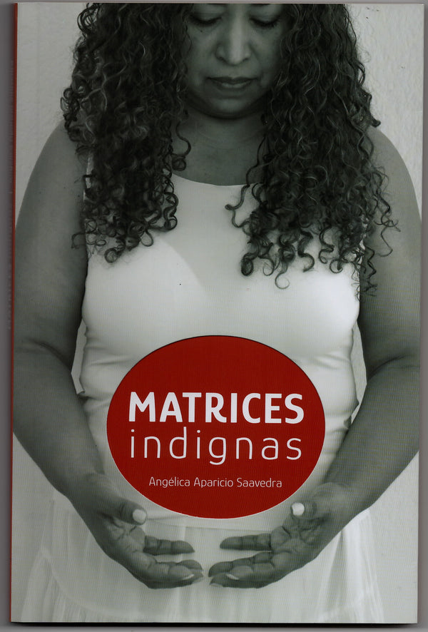 Matrices indignas. Sobre la anticoncepción forzada contra mujeres racializadas en México. Un acercamiento histórico-filosófico