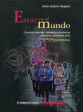 Estar en el mundo. Procesos culturales, estrategias económicas y dinámicas identitarias entre los mayas yucatecos