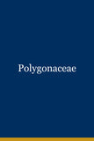Polygonaceae