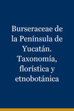Burseraceae de la Península de Yucatán. Taxonomía, florística y etnobotánica