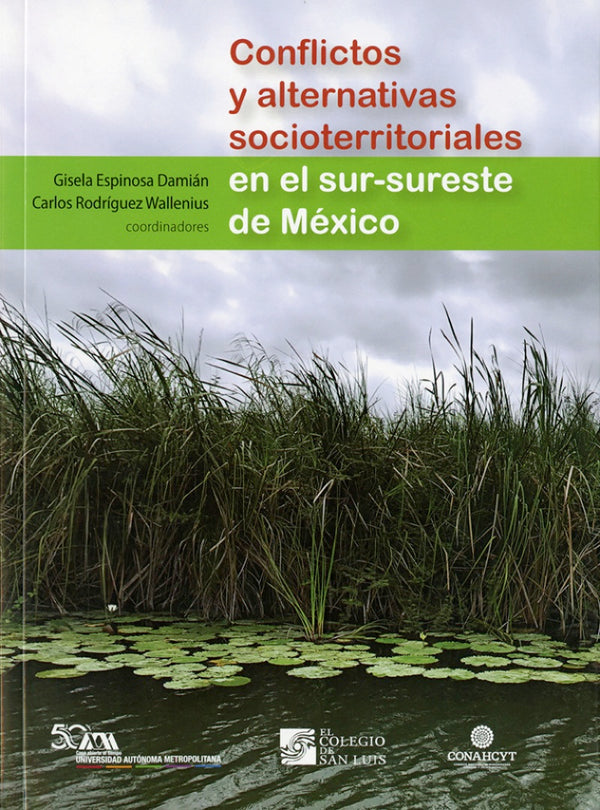 Portada de «Conflictos y alternativas socioterritoriales en el sur-sureste de México»