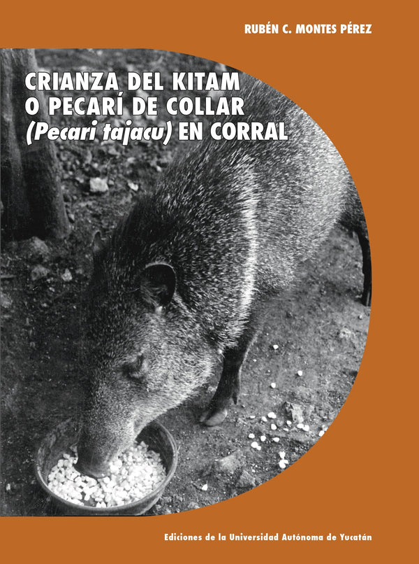 Portada de «Crianza del kitam o pecarí de collar (Pecari tajacu) en corral»