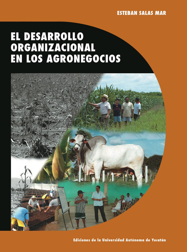 Portada de «El desarrollo organizacional en los agronegocios»