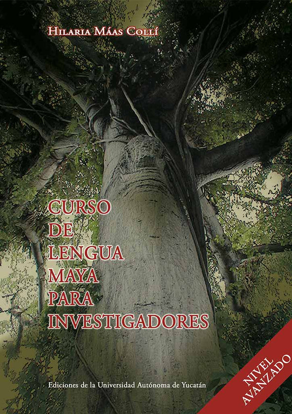 Curso de lengua maya para investigadores. Nivel avanzado