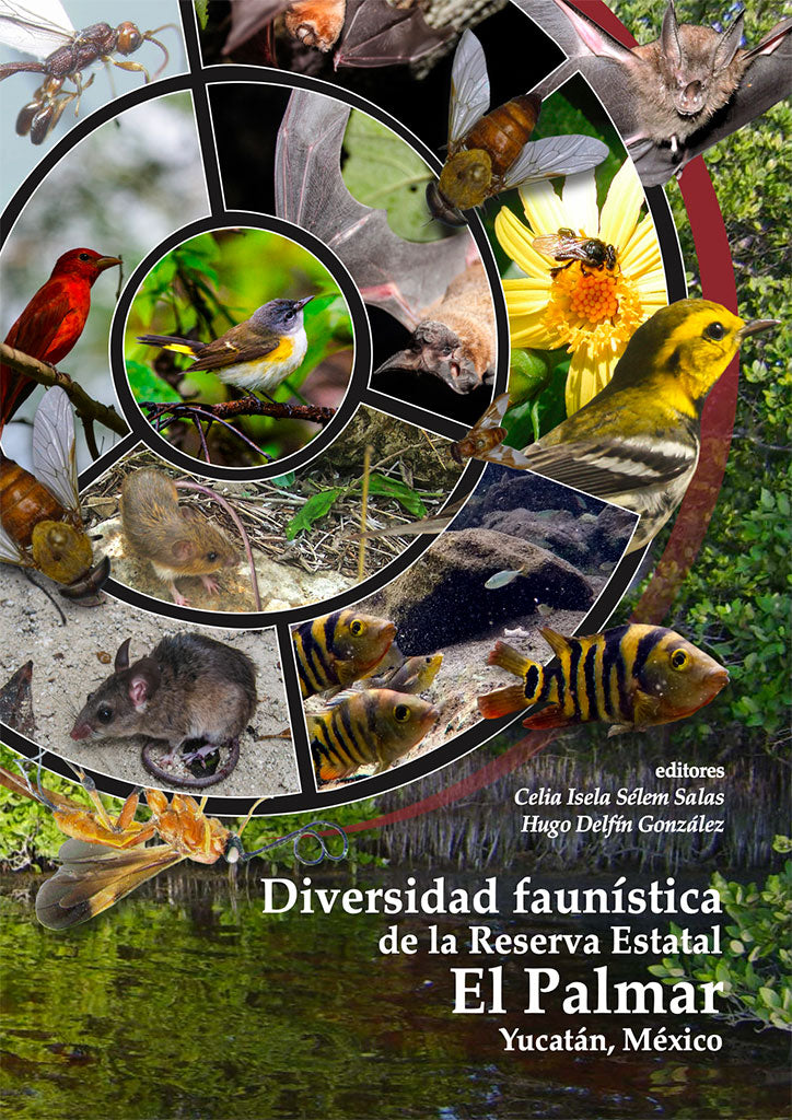 Diversidad faunística de la Reserva Estatal El Palmar, Yucatán, México
