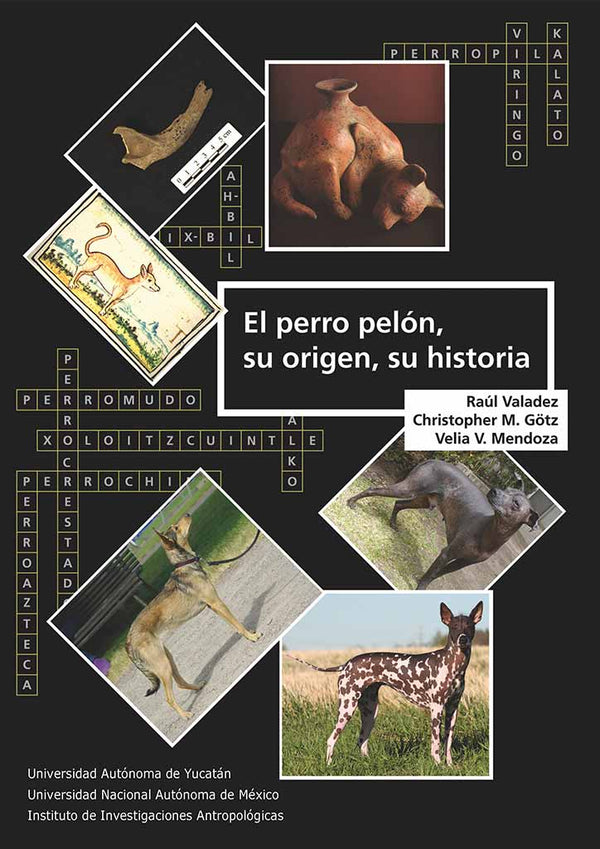 El perro pelón, su origen, su historia