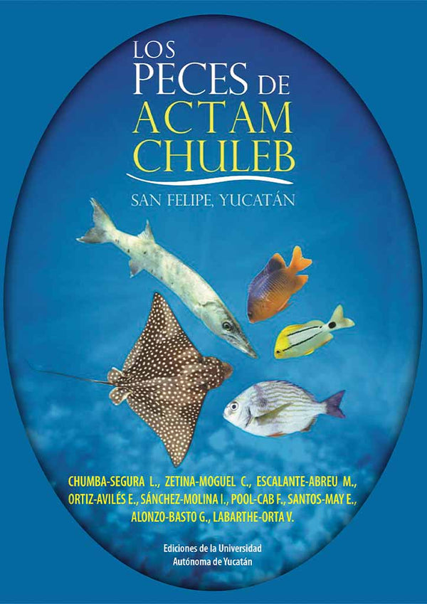 Los peces de Actam Chuleb. San Felipe, Yucatán