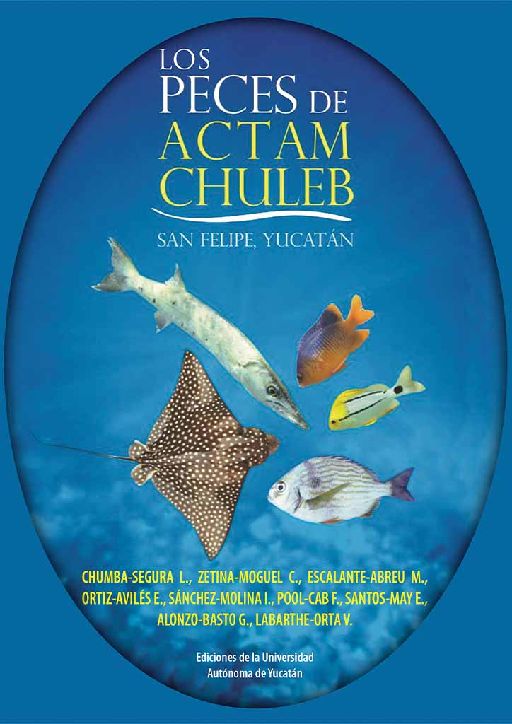 Los peces de Actam Chuleb: San Felipe, Yucatán
