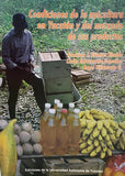 Condiciones de la apicultura en Yucatán del mercado de sus productos