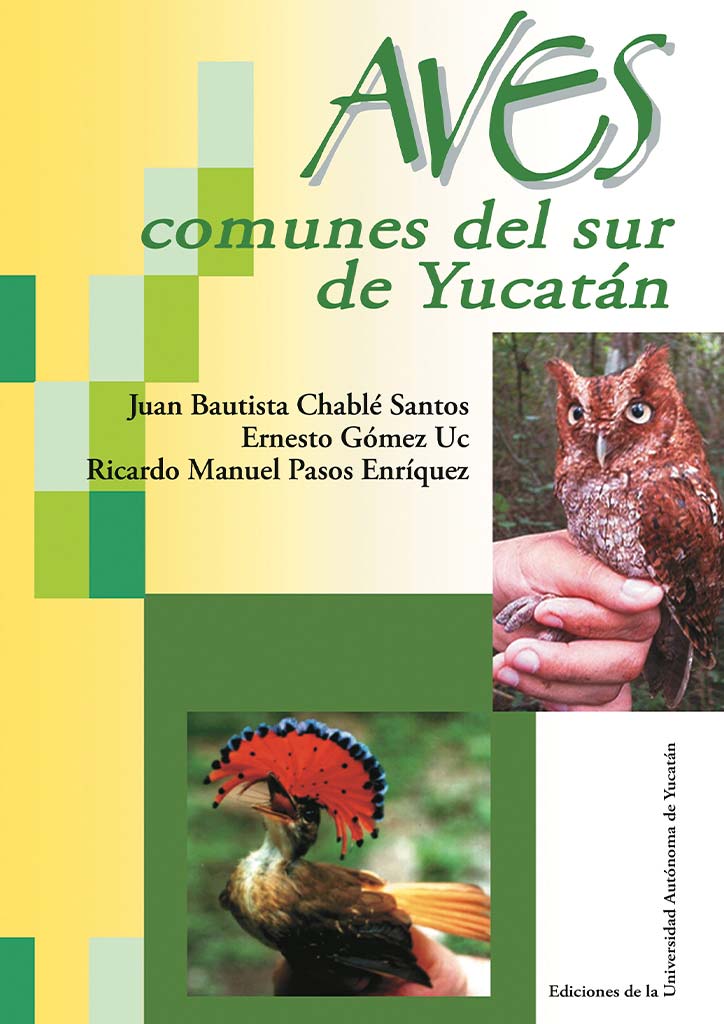 Aves comunes del Sur de Yucatán