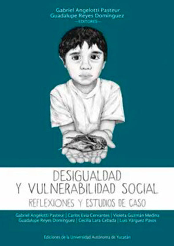 Desigualdad y vulnerabilidad social. Reflexiones y estudios de caso