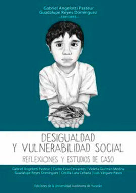 Desigualdad y vulnerabilidad social: Reflexiones y estudios de caso
